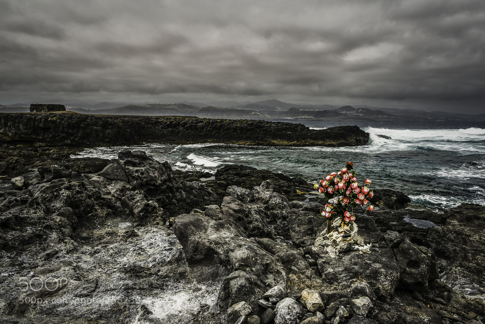 Nikon D600 sample photo. Rip photography
