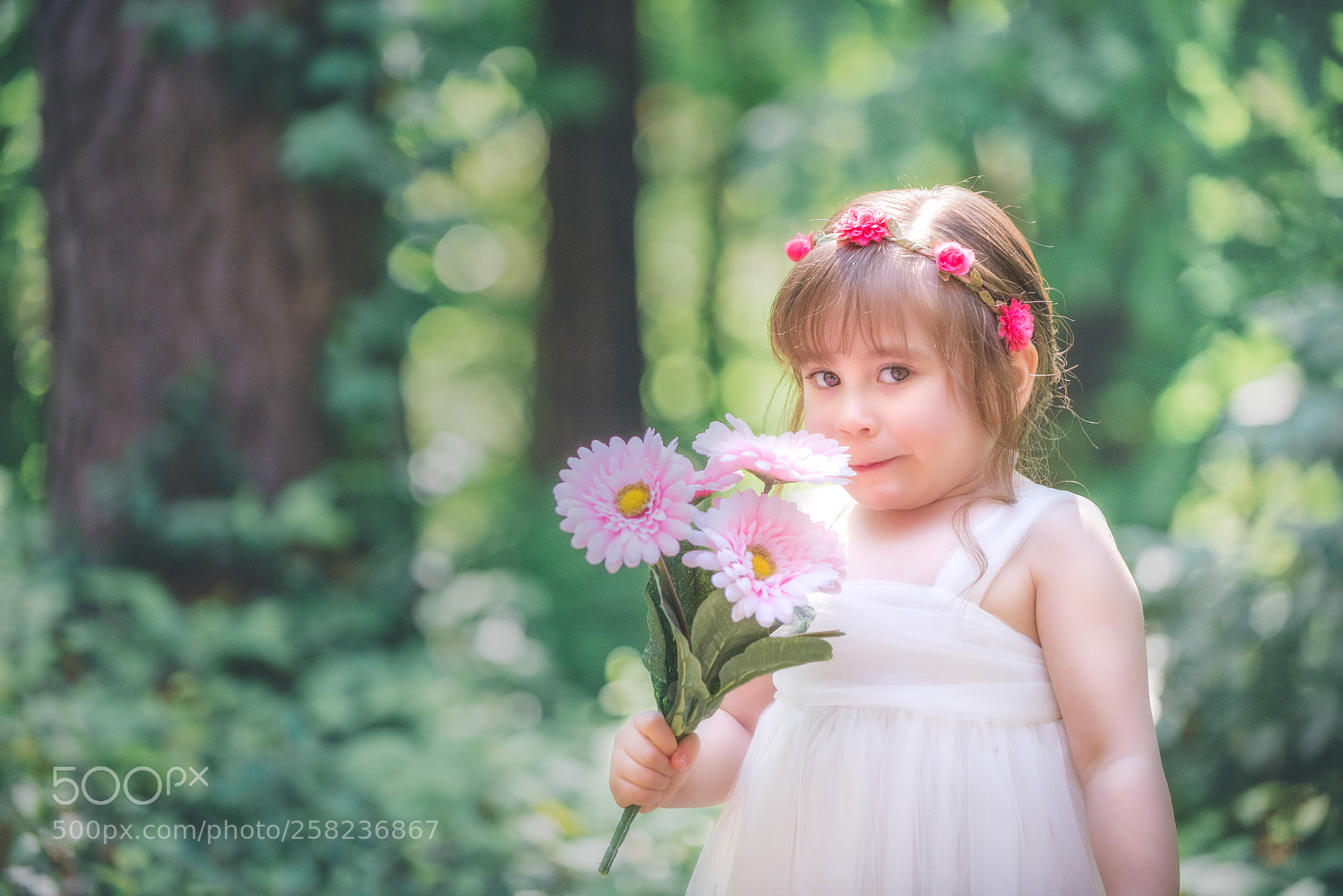 Nikon D610 sample photo. Edit edit photography