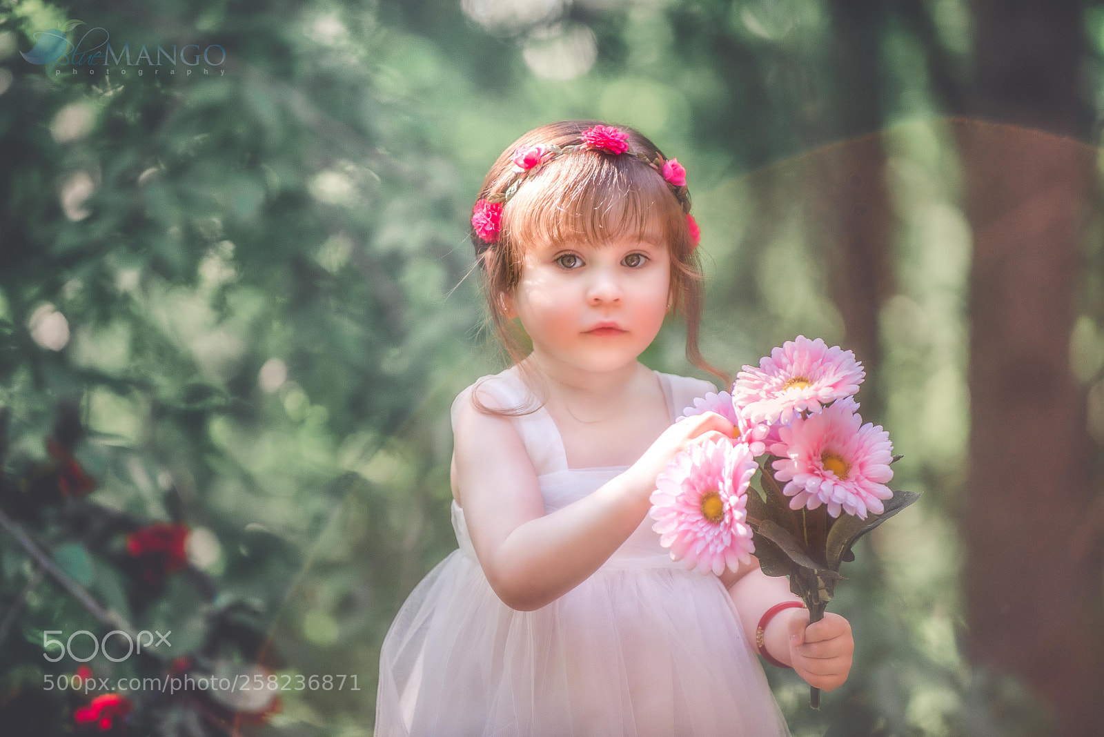 Nikon D610 sample photo. Edit edit edit edit photography