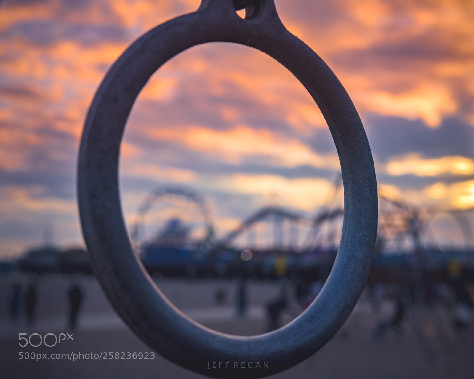 Nikon D850 sample photo. _dsc6959-1-3.jpg photography