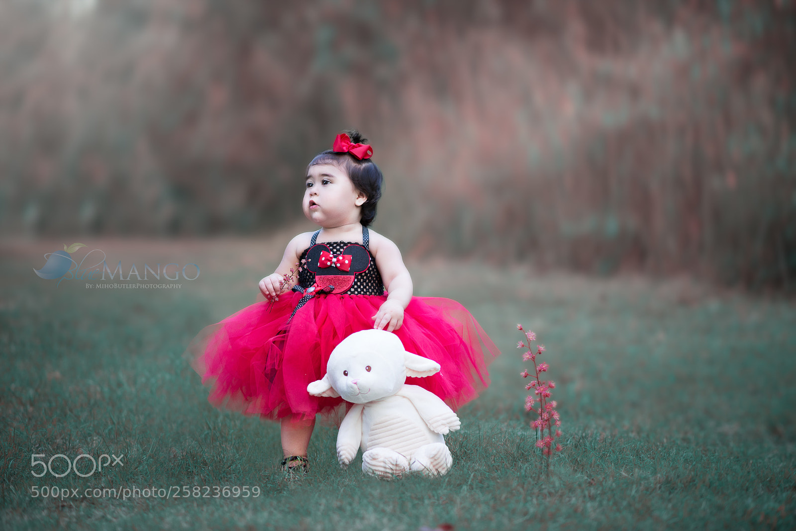 Nikon D610 sample photo. Edit photography
