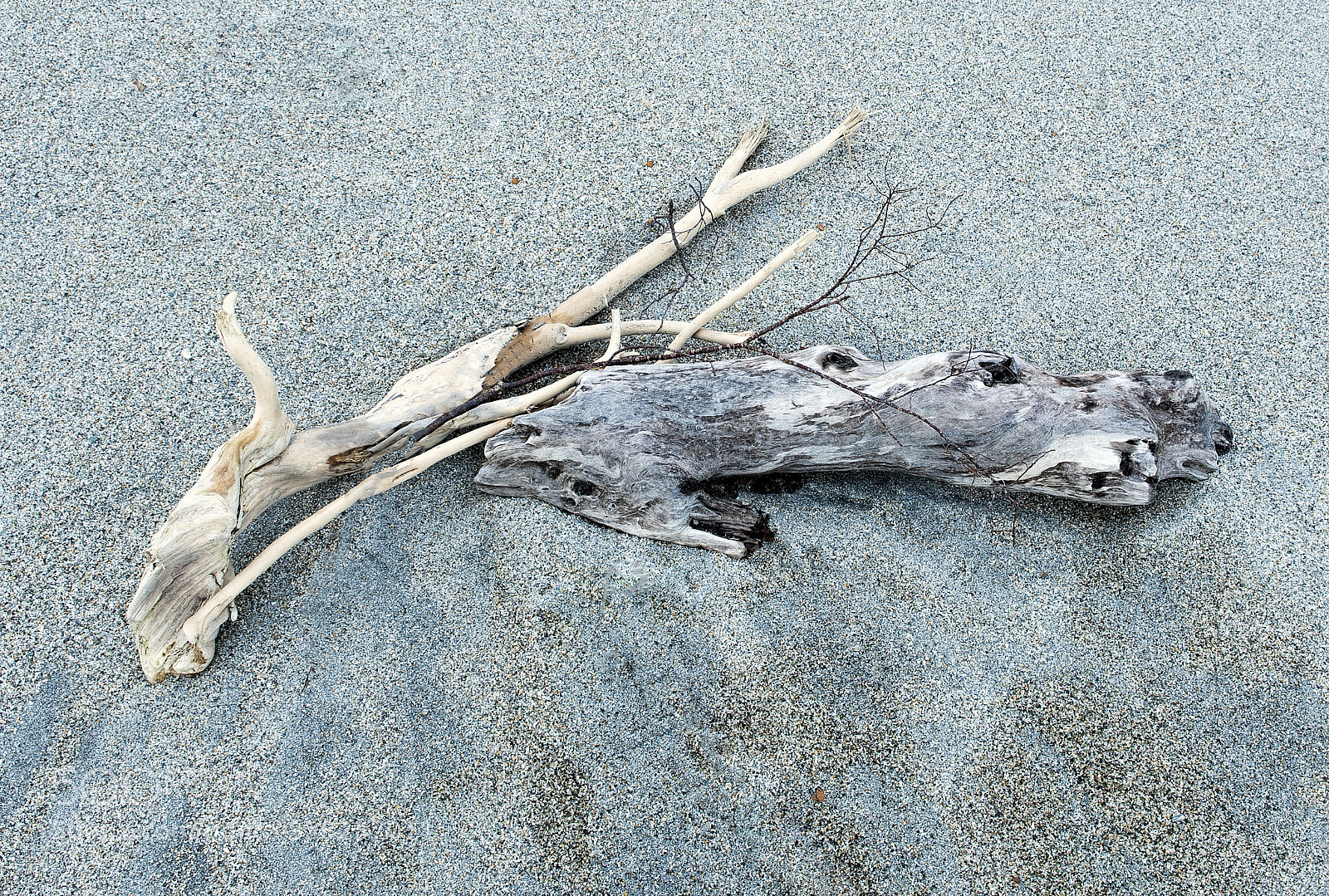 Nikon D700 sample photo. Driftwood display photography