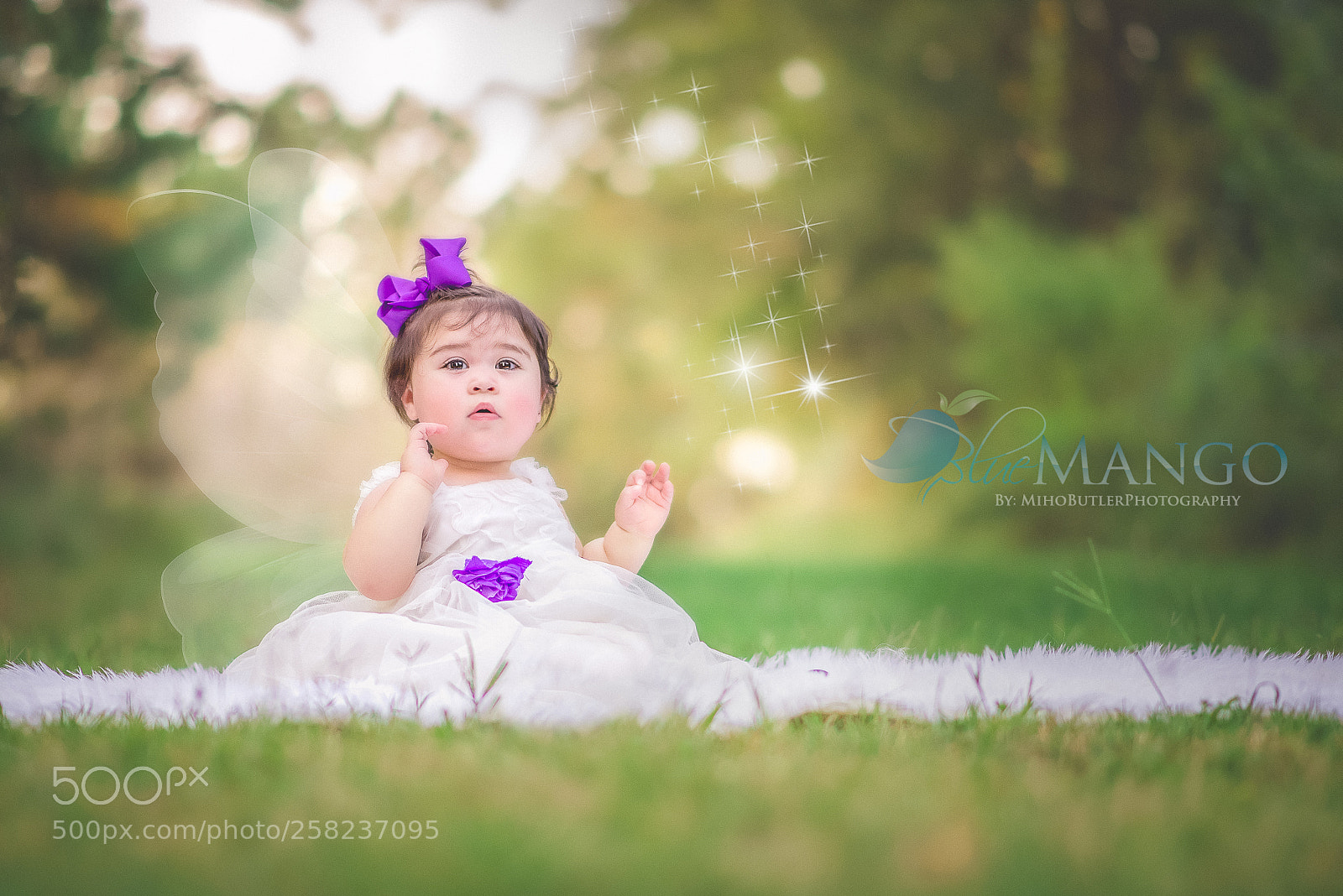 Nikon D610 sample photo. Edit photography