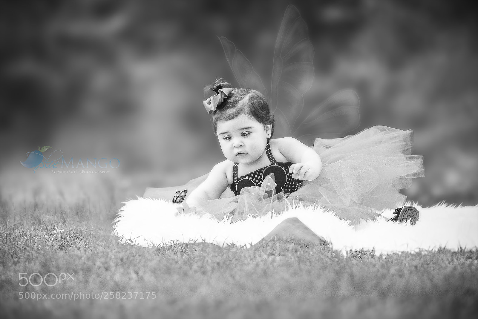 Nikon D610 sample photo. Beautiful photography