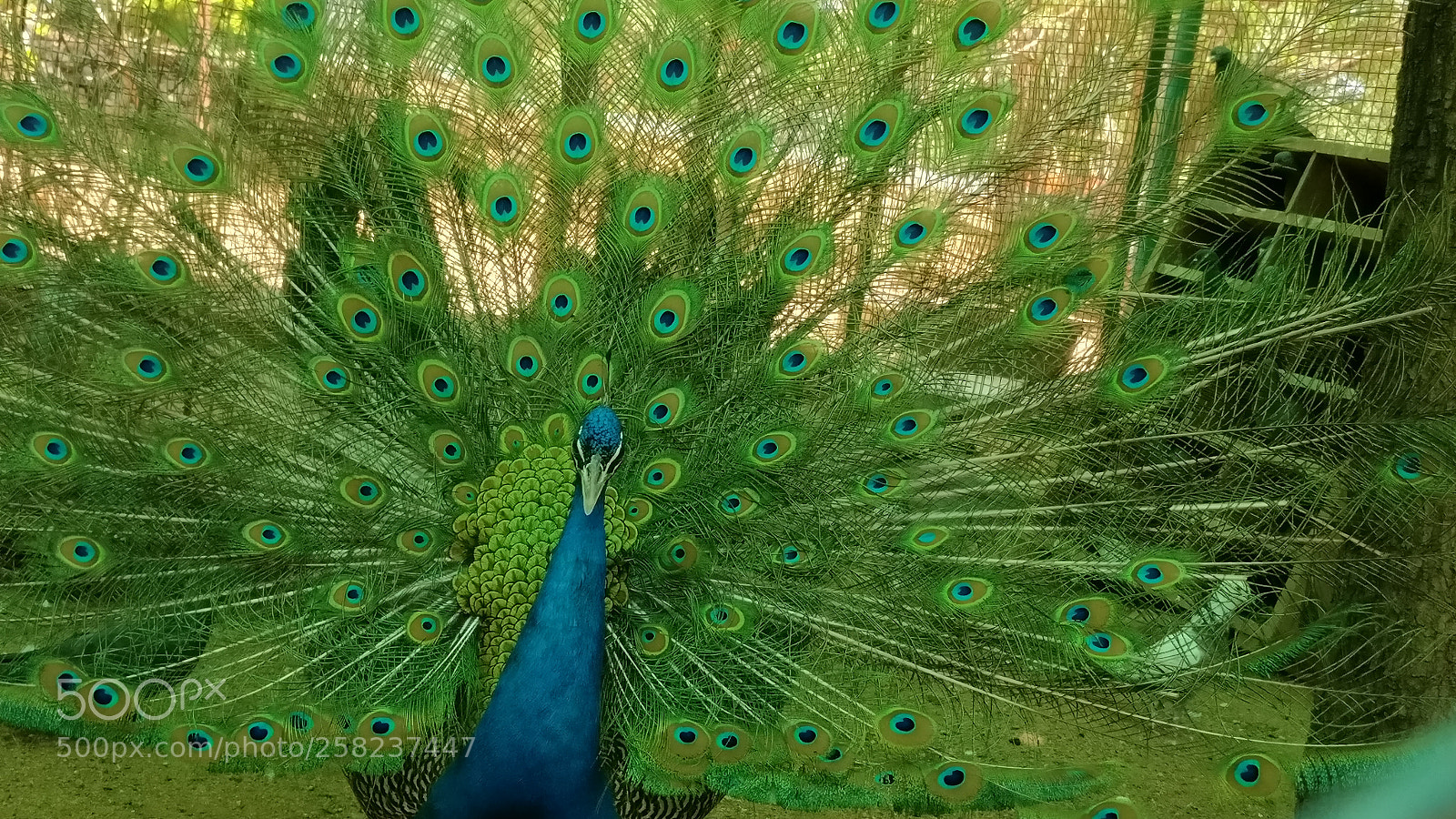 OnePlus A3003 sample photo. Img_20160319_030845.jpg photography