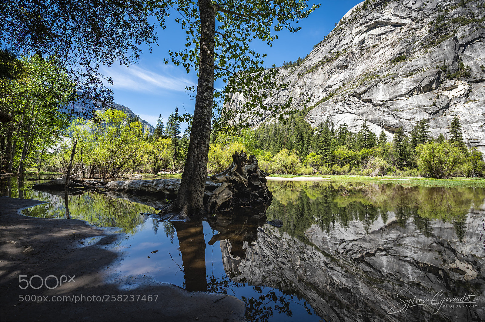 Nikon D750 sample photo. Miror lake photography