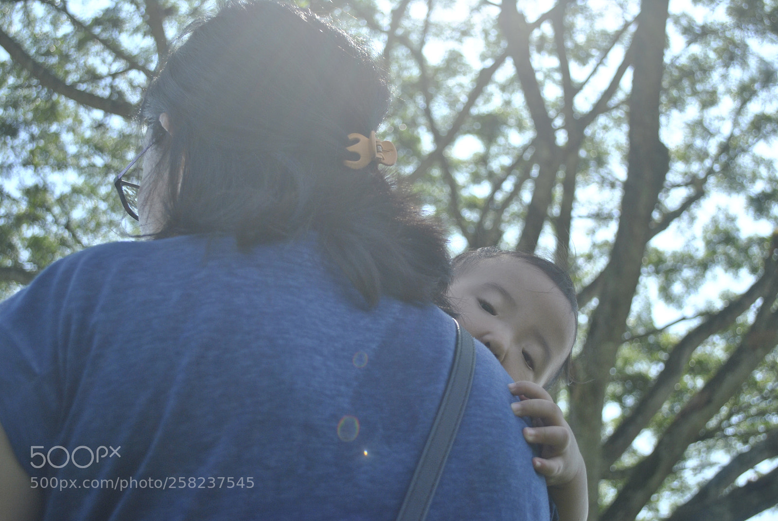 Nikon D3000 sample photo. Peek-a-boo photography