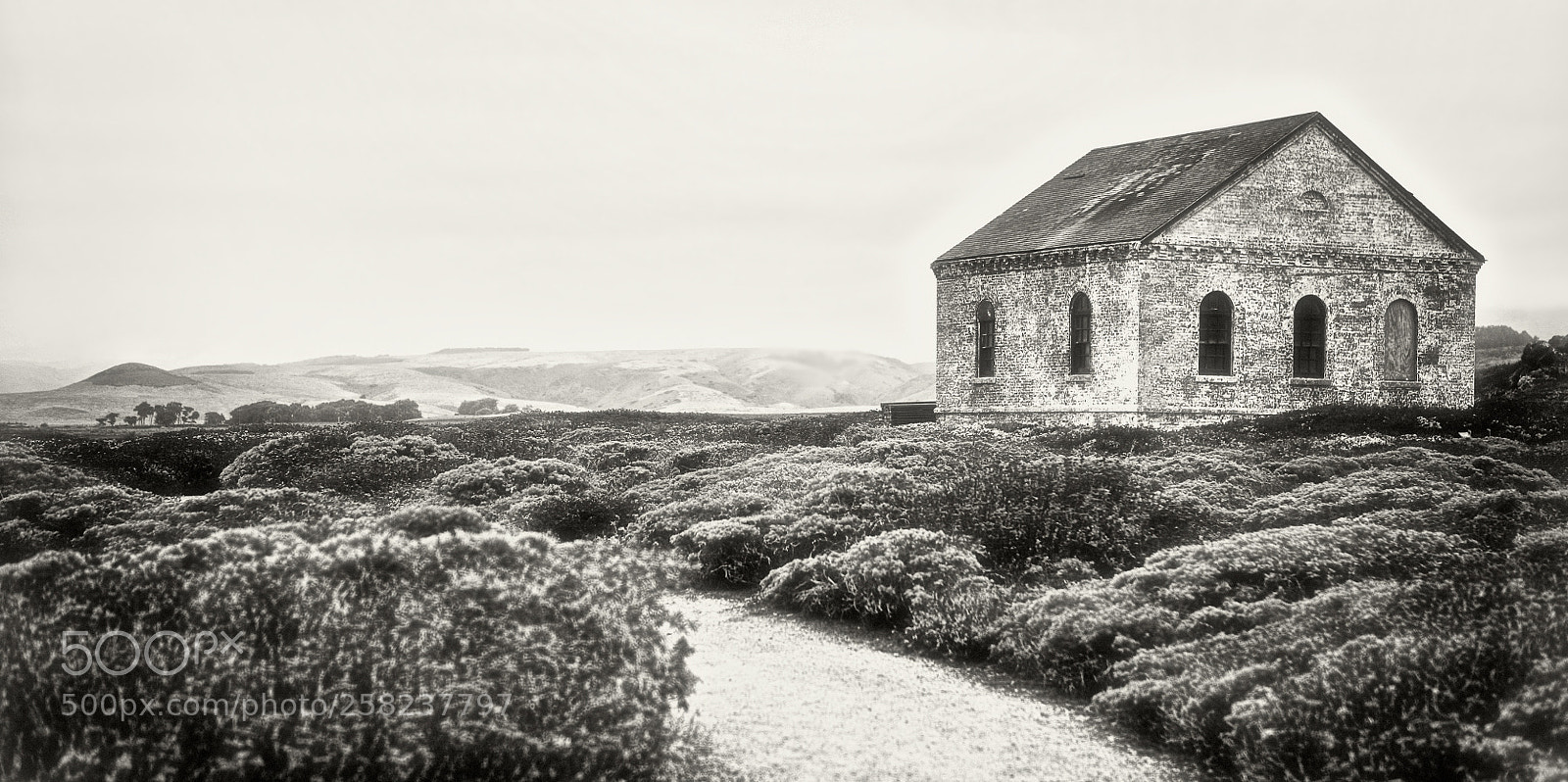 Canon EOS 5D sample photo. The piedras blancas lighthouse photography