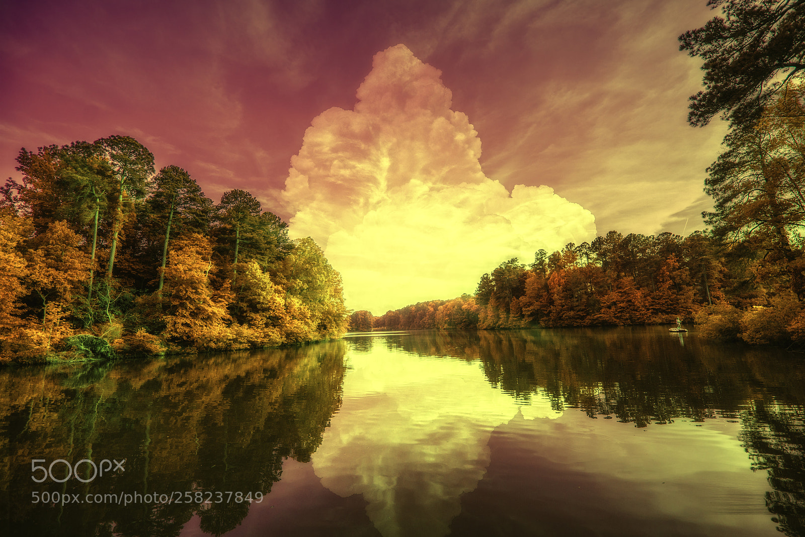 Nikon D610 sample photo. Lake lynn raleigh, nc photography