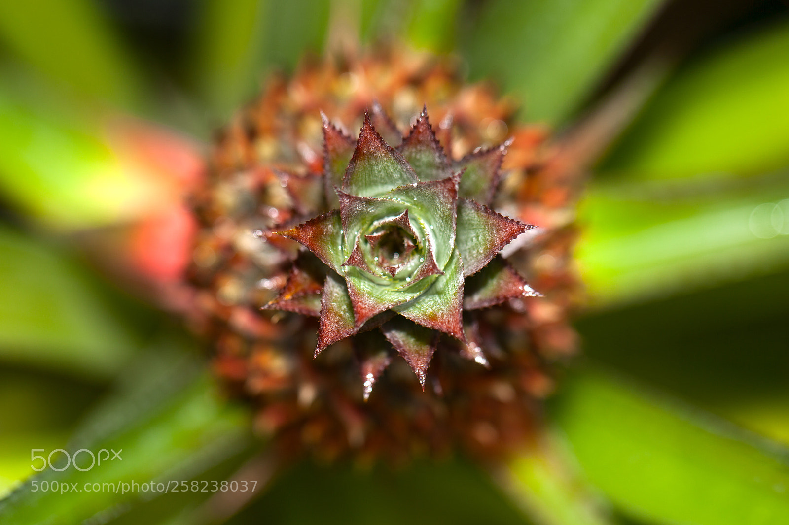 Canon EOS 5D Mark II sample photo. Untitled photography