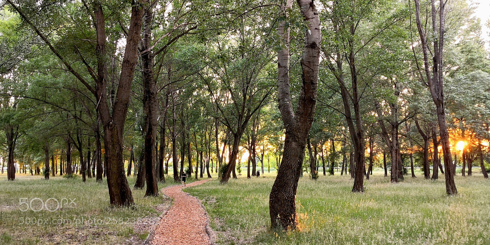 HUAWEI Mate 10 Pro sample photo. Sunset jog photography
