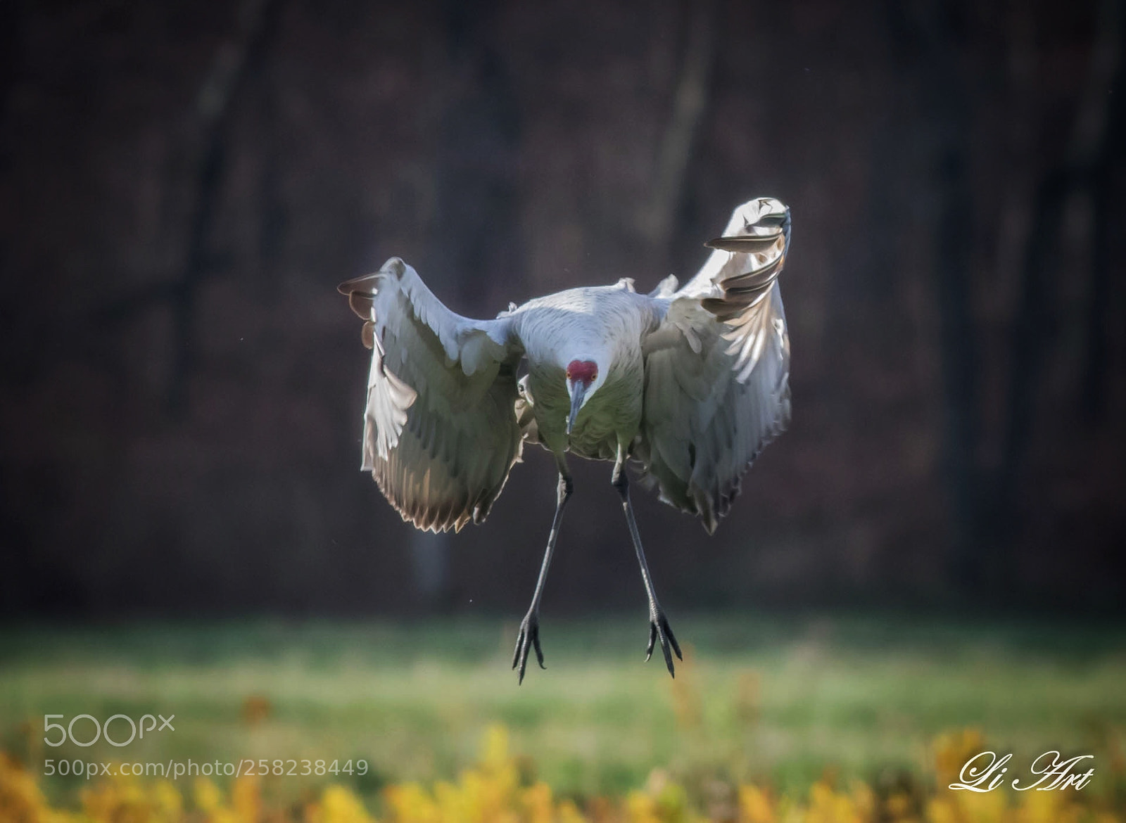 Canon EOS 7D Mark II sample photo. Landing photography
