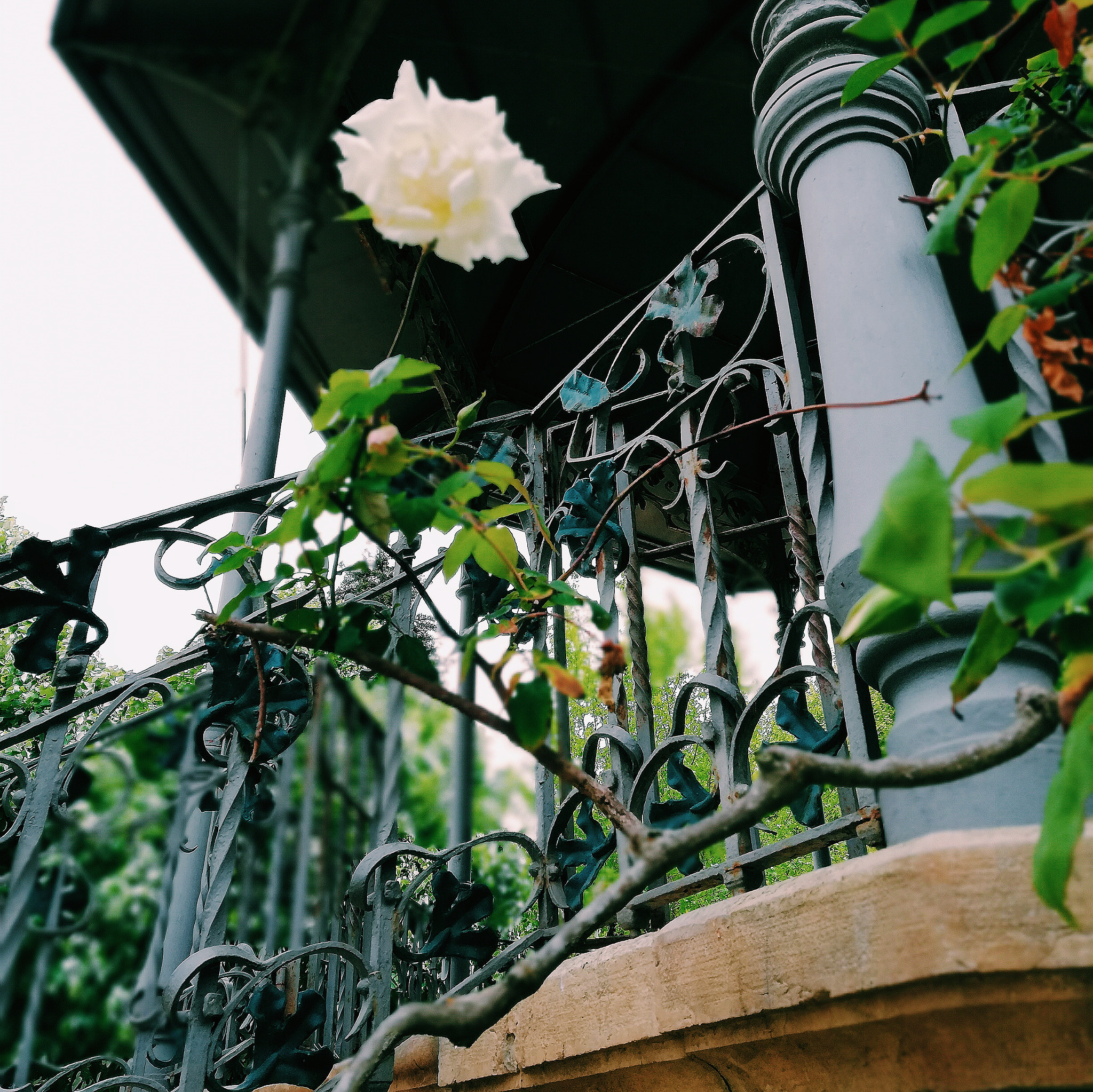 HUAWEI Mate 10 Lite sample photo