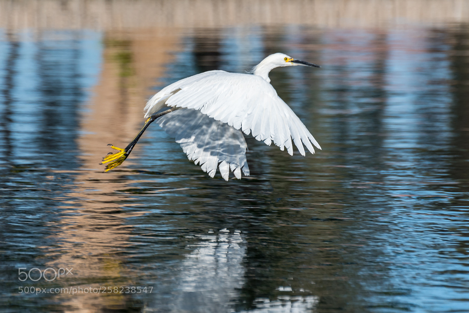 Nikon D750 sample photo. Snowy reflection photography