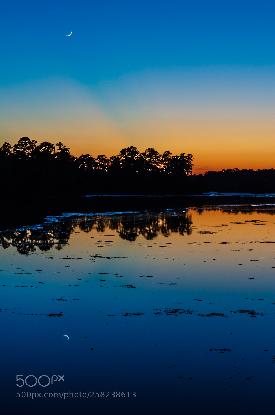 Nikon D7000 sample photo. First-day new moon in photography