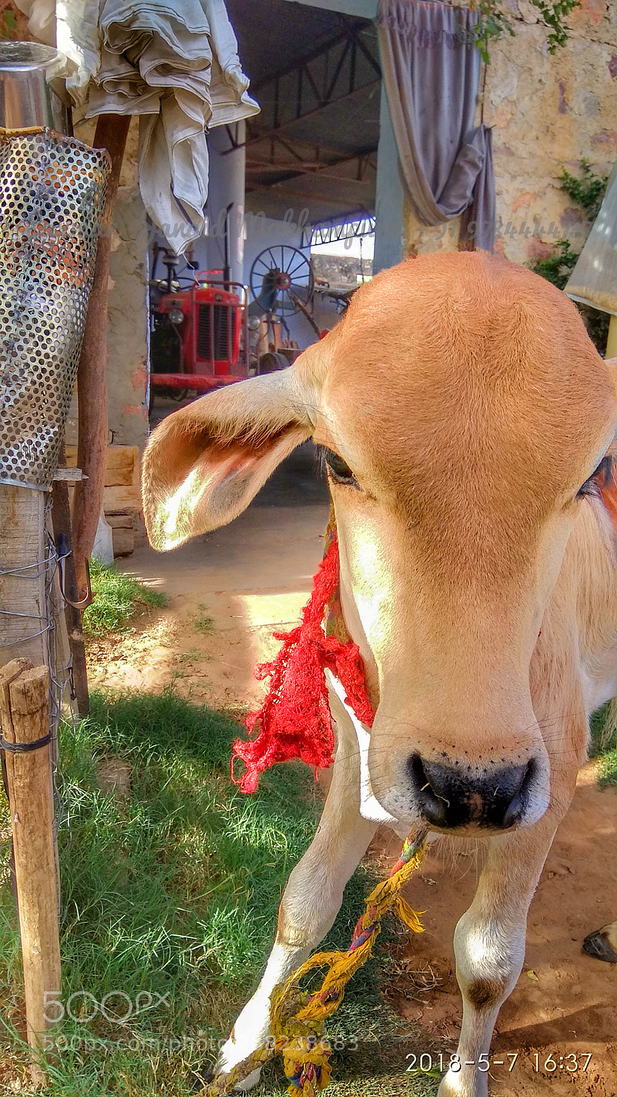 Xiaomi Redmi Note 4 sample photo. Laxman jangid mokhampura photography
