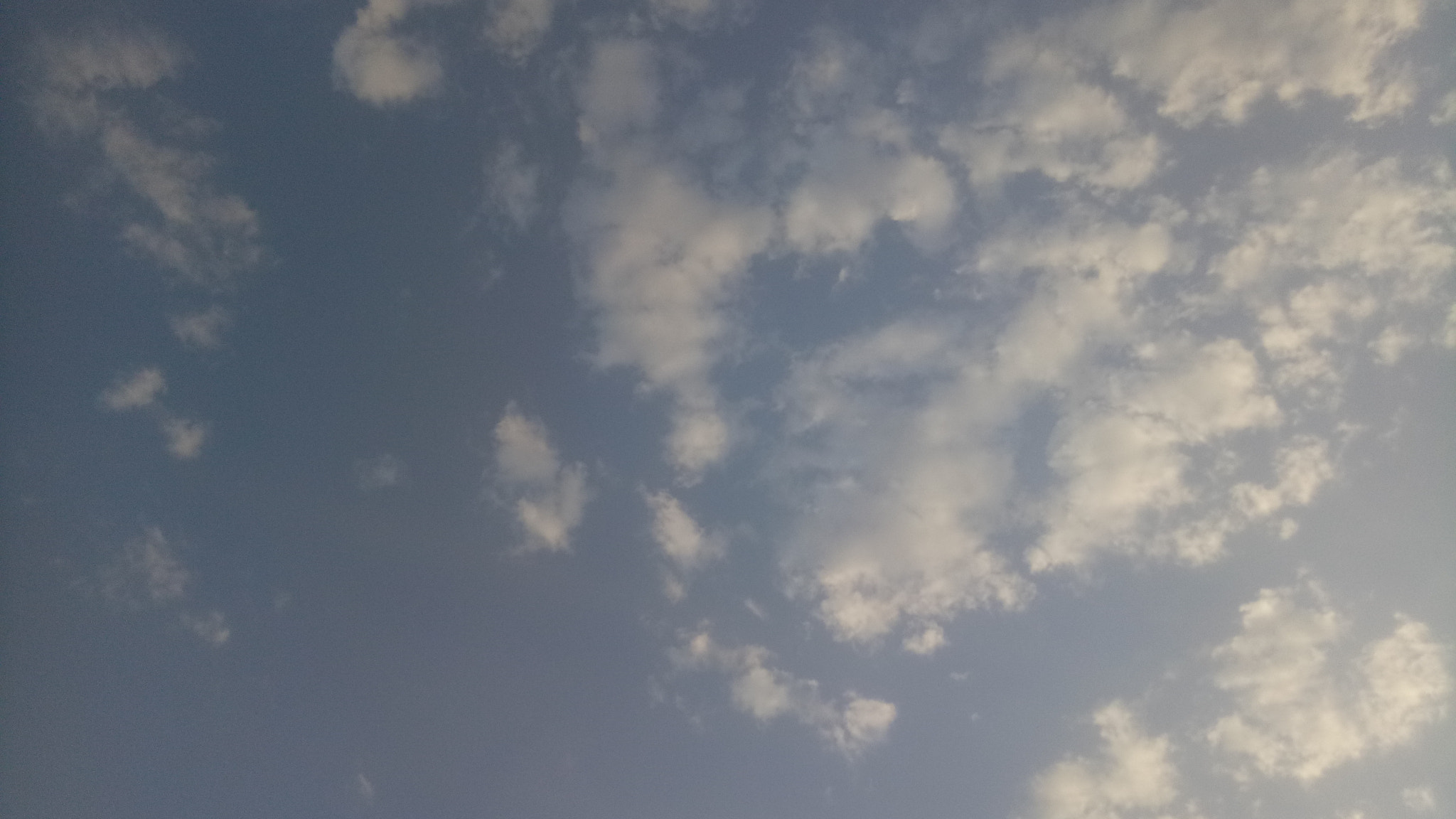 OPPO A1601 sample photo