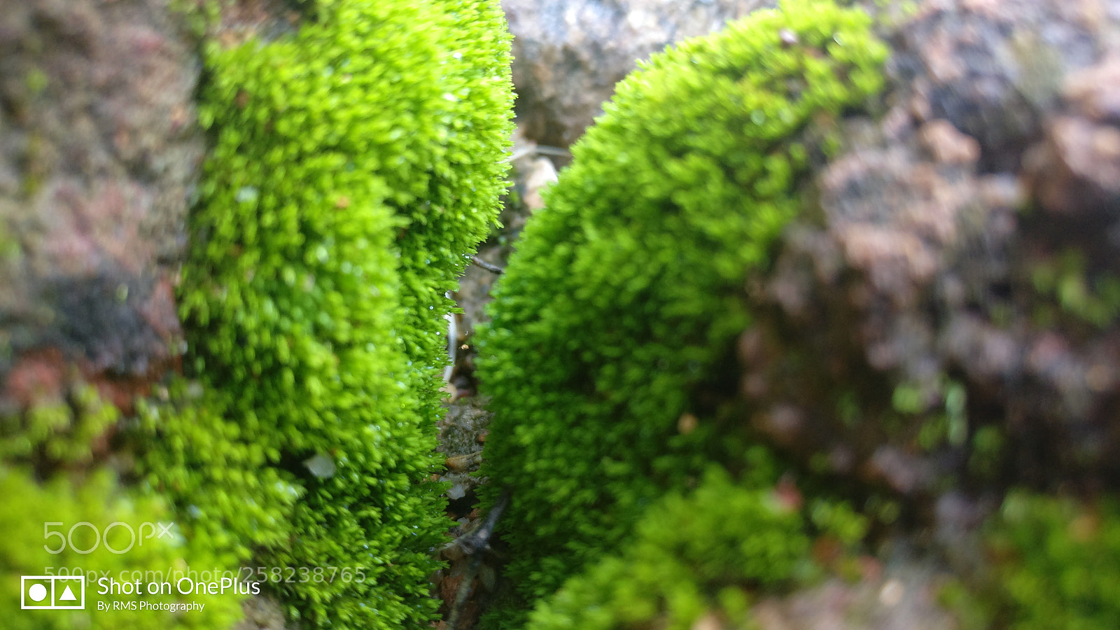 OnePlus A3003 sample photo. Img_20170910_174305.jpg photography