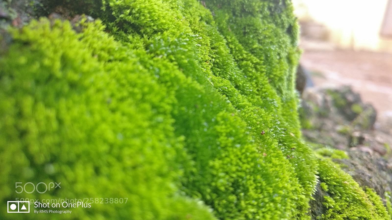 OnePlus A3003 sample photo. Img_20170910_174413.jpg photography