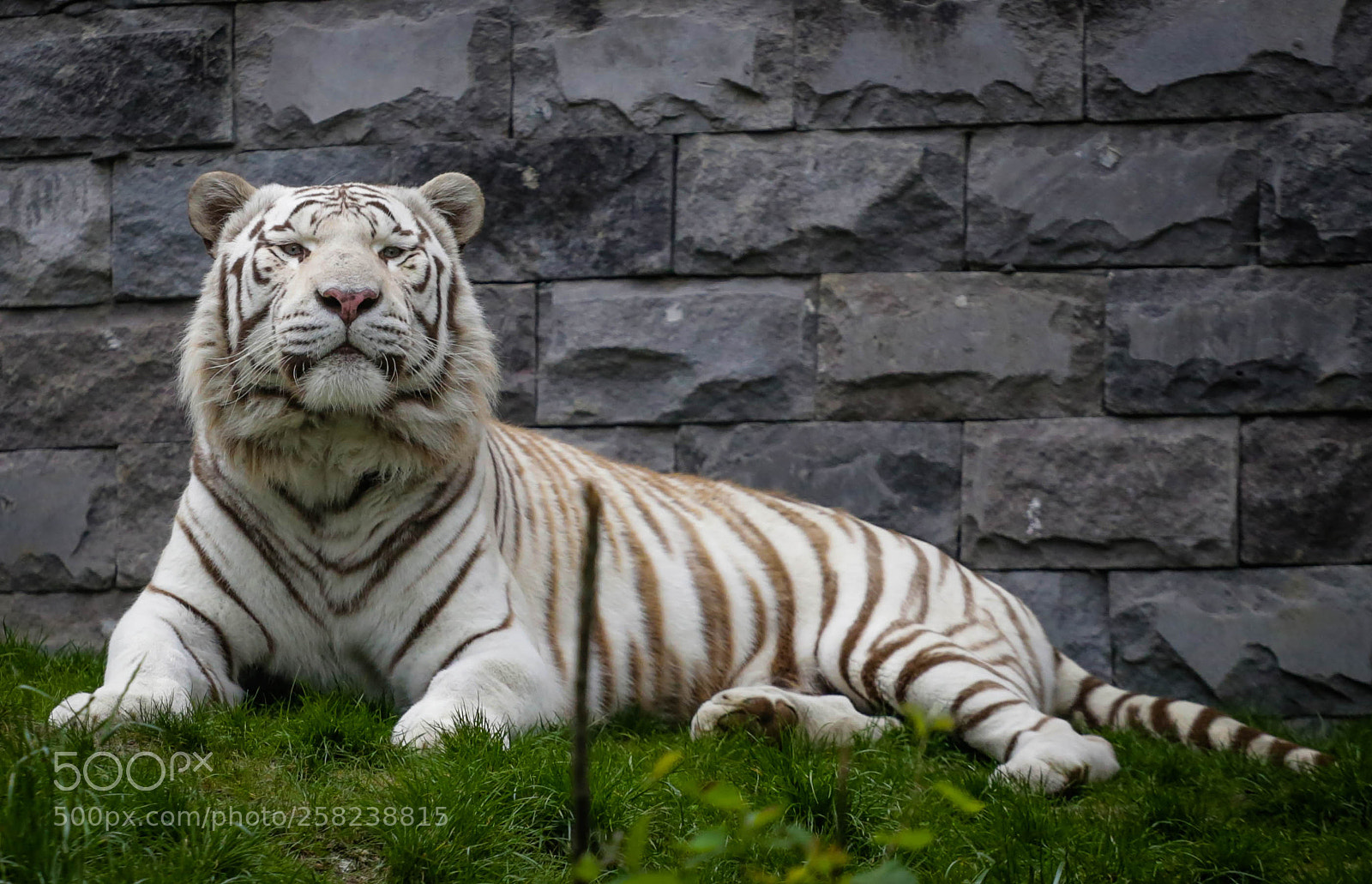 Canon EOS 6D sample photo. Pairidaiza 1 photography