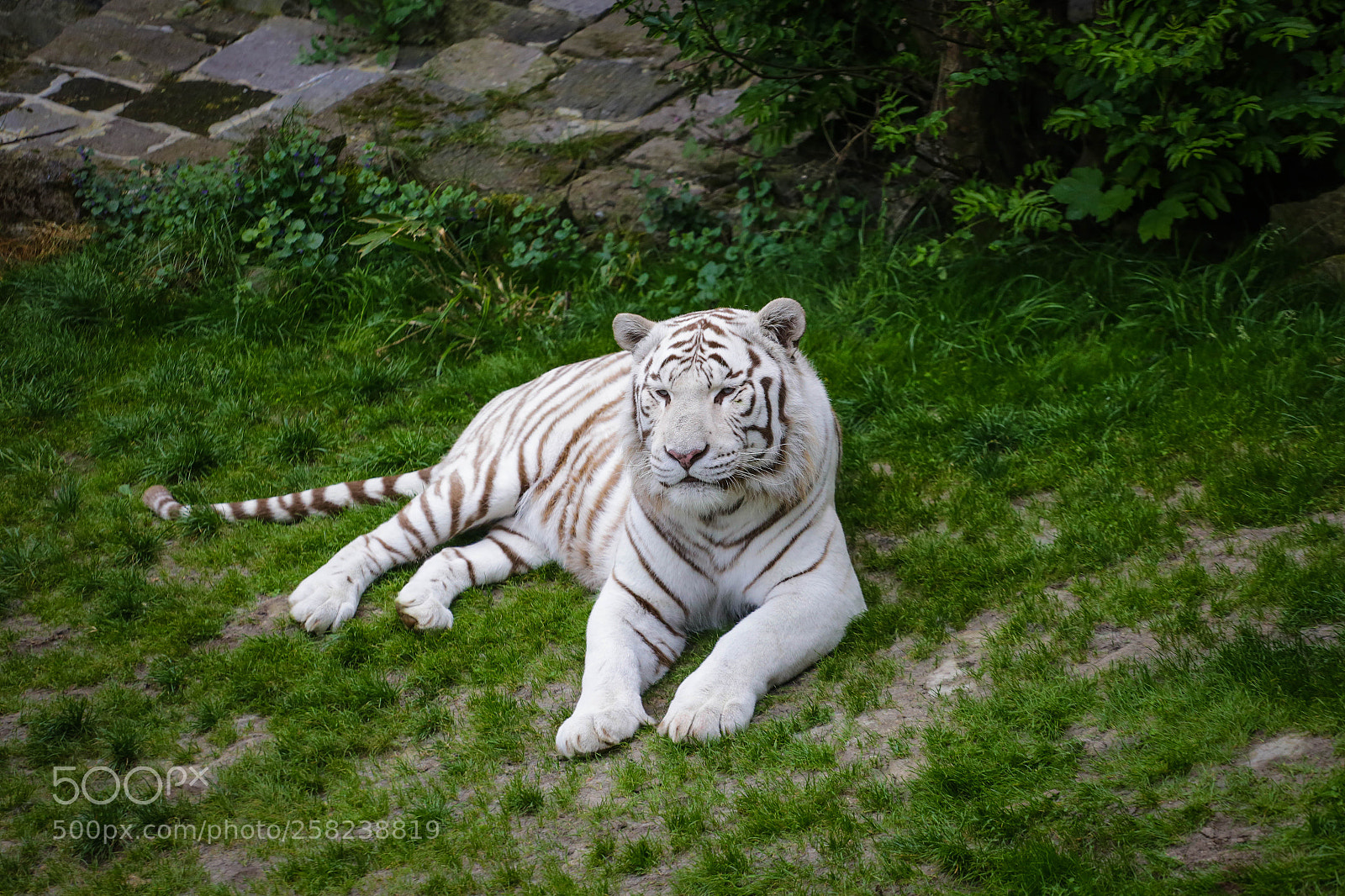 Canon EOS 6D sample photo. Pairidaiza 4 photography