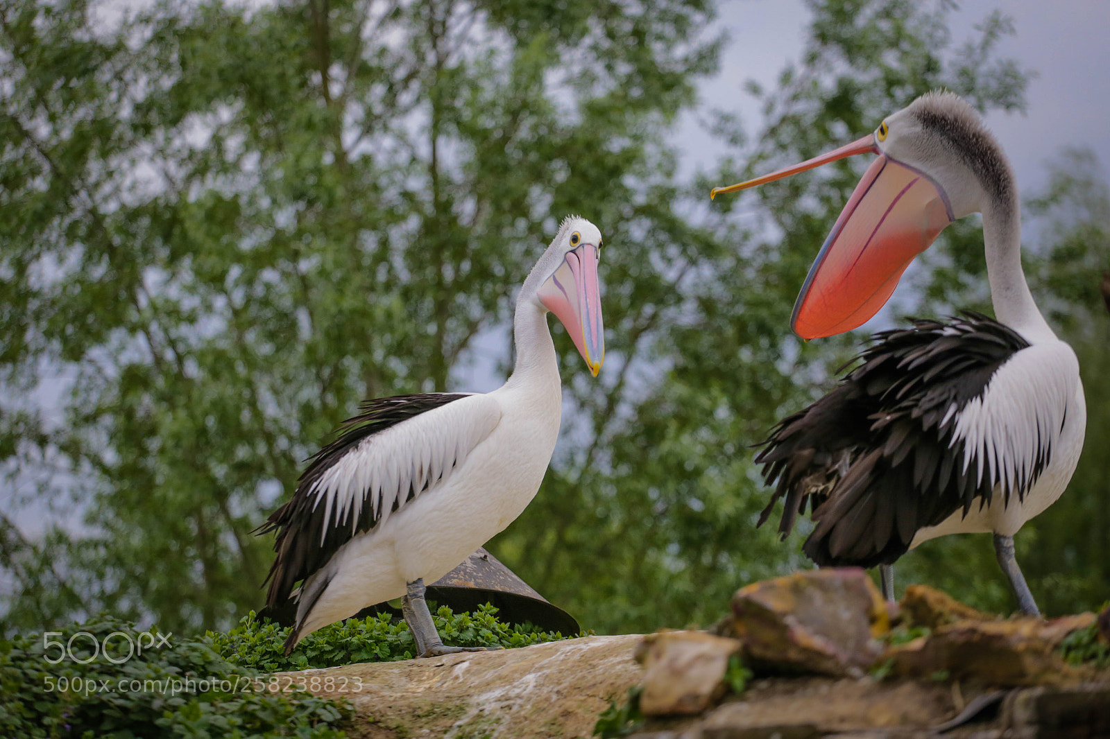 Canon EOS 6D sample photo. Pairidaiza 5 photography