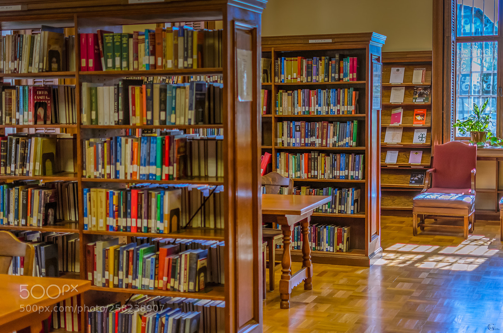 Nikon D7000 sample photo. Library stacks photography