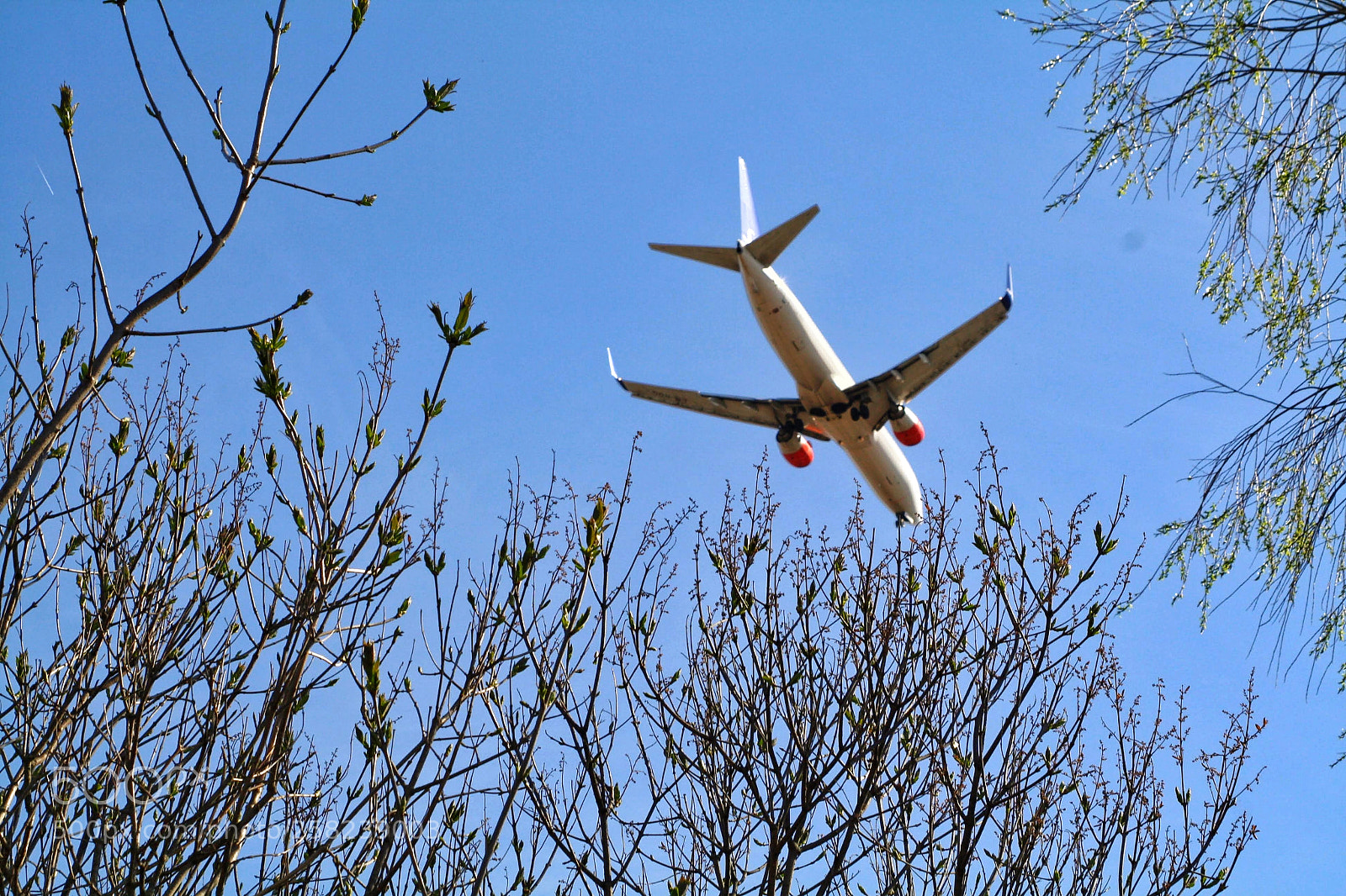 Canon EOS 1000D (EOS Digital Rebel XS / EOS Kiss F) sample photo. Wait for me photography