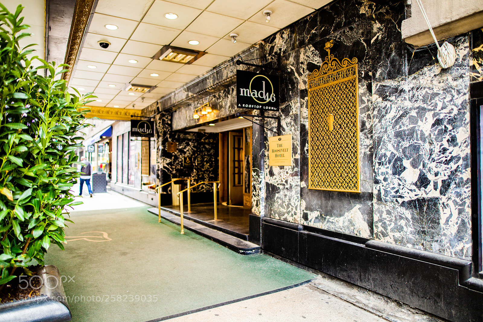 Canon EOS 6D sample photo. Nyc photography