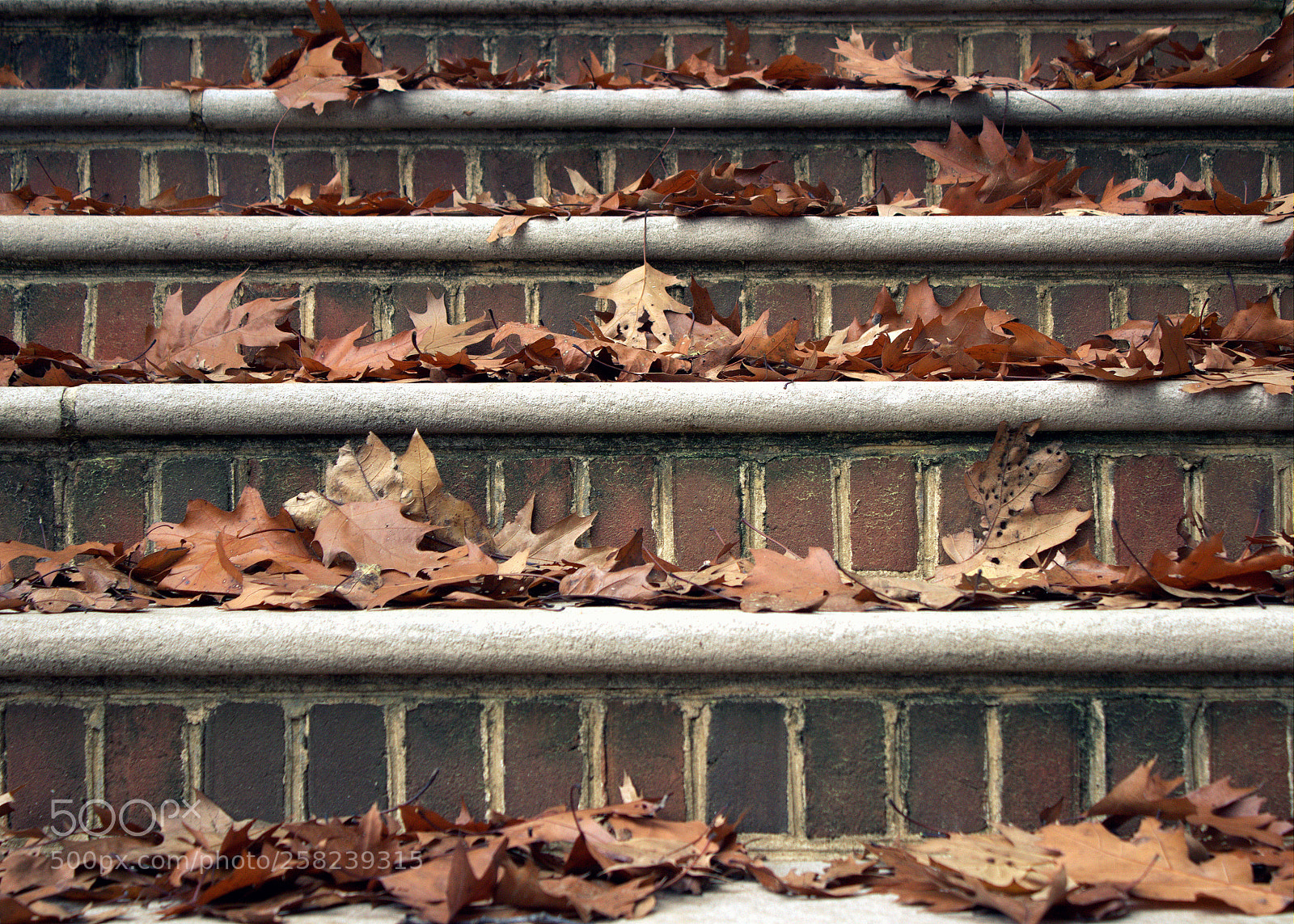 Canon EOS 600D (Rebel EOS T3i / EOS Kiss X5) sample photo. Autumn leaves on stairs photography