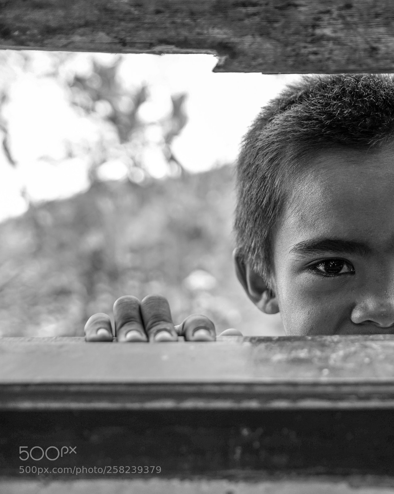 Sony a7 II sample photo. Hai photography