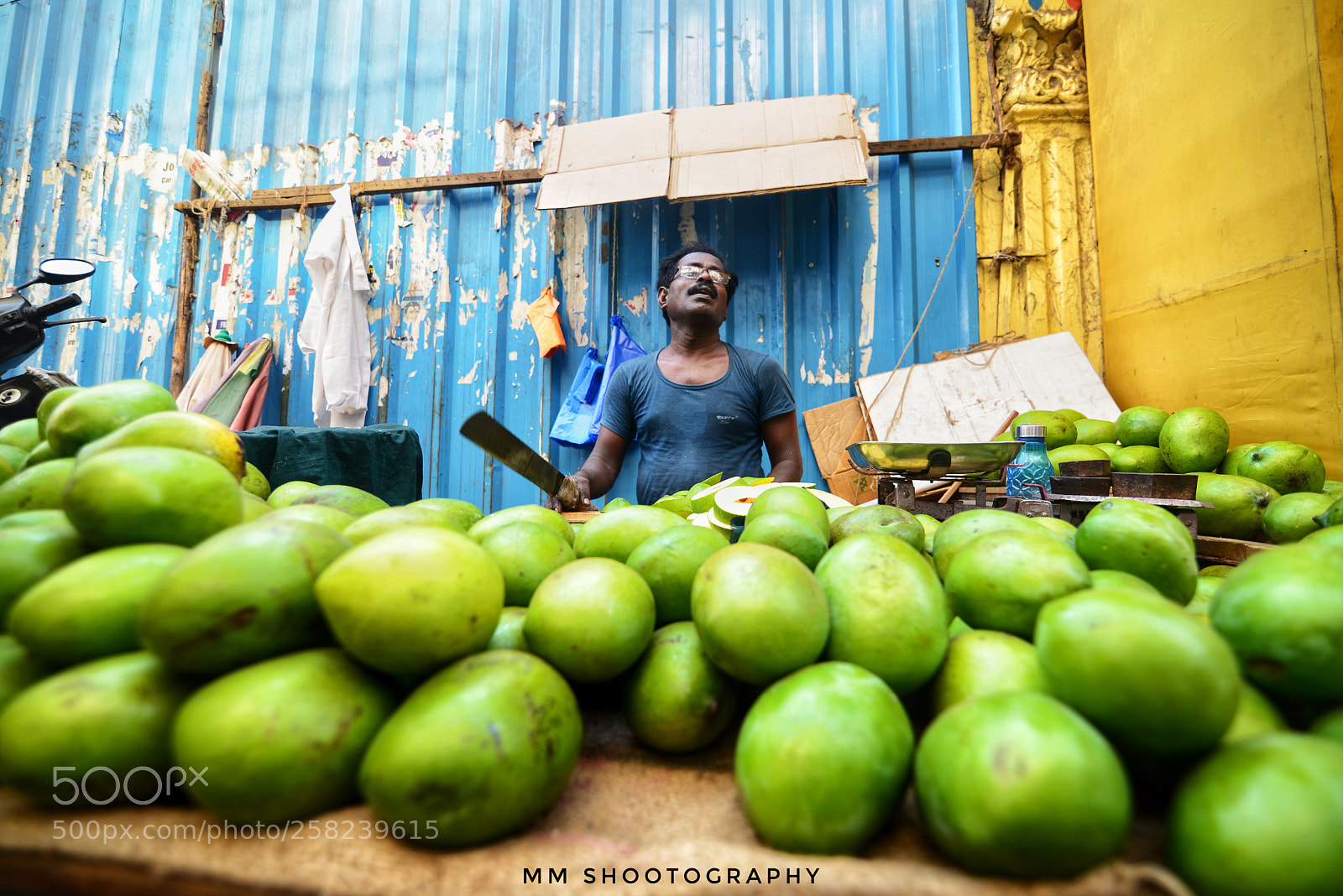 Nikon D610 sample photo. Mango morning photography