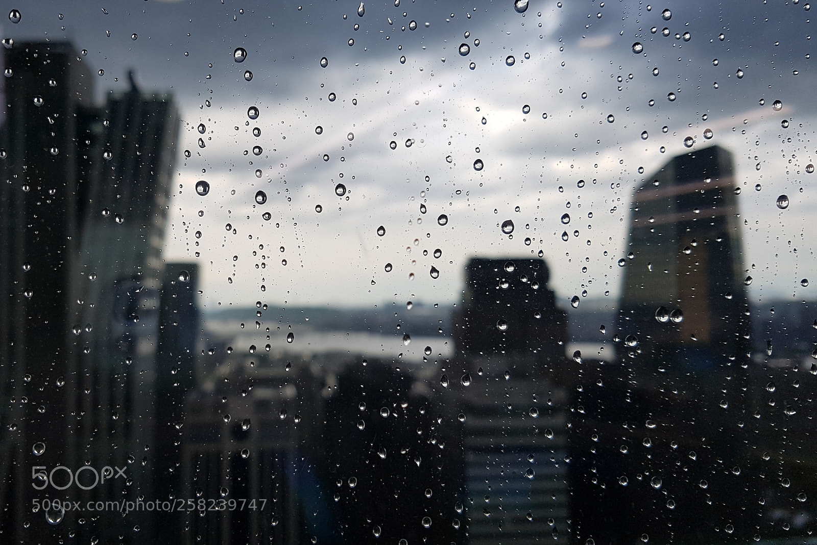 Samsung Galaxy S7 Edge sample photo. Rainy day photography
