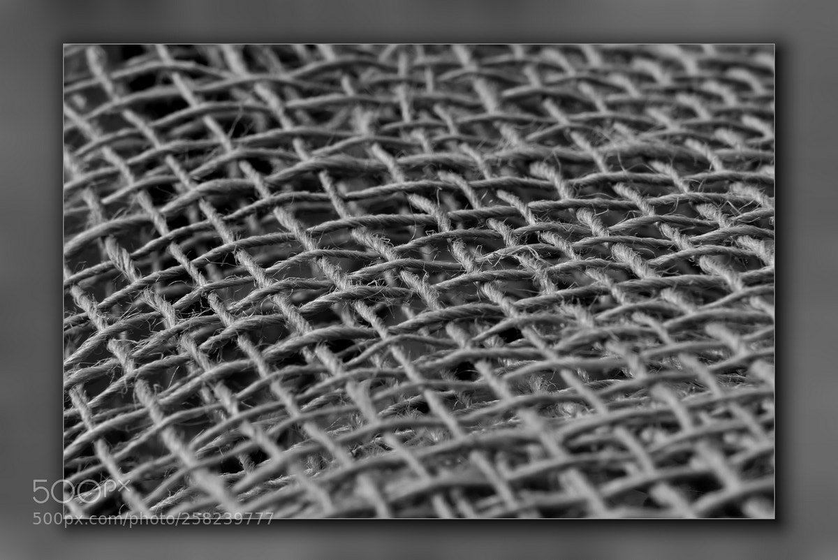 Panasonic Lumix DMC-FZ300 sample photo. # photography