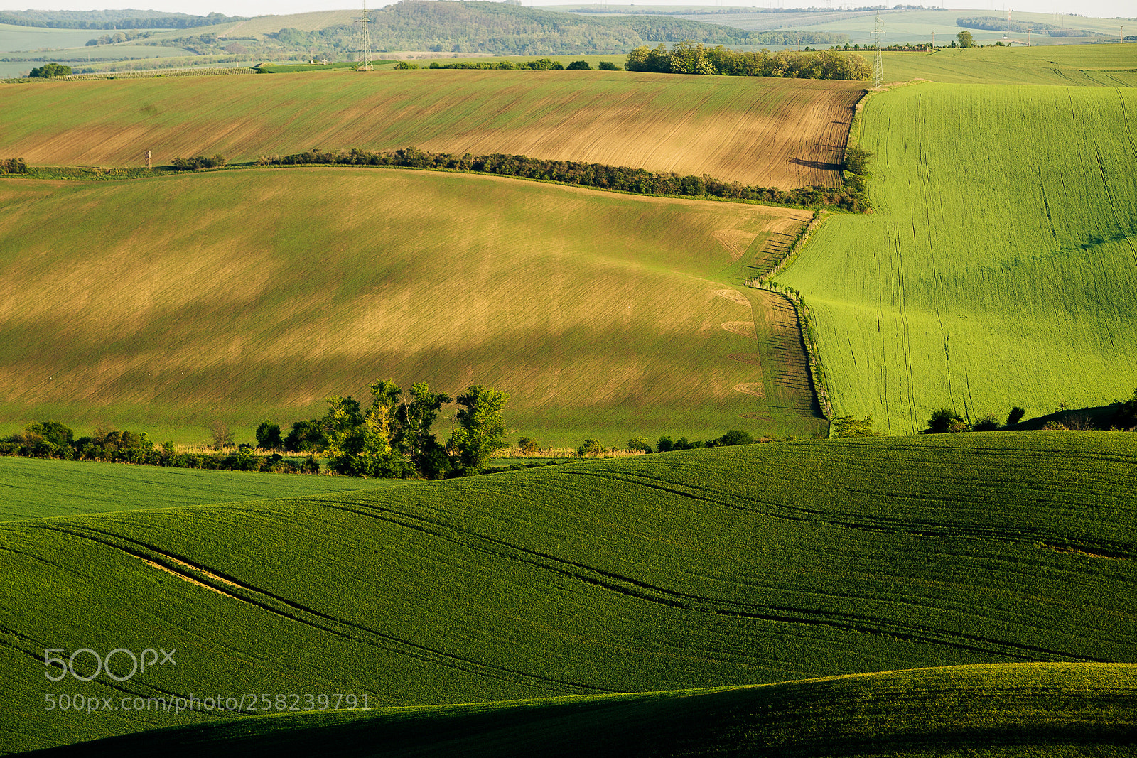 Canon EOS 6D sample photo. South moravian ii. photography