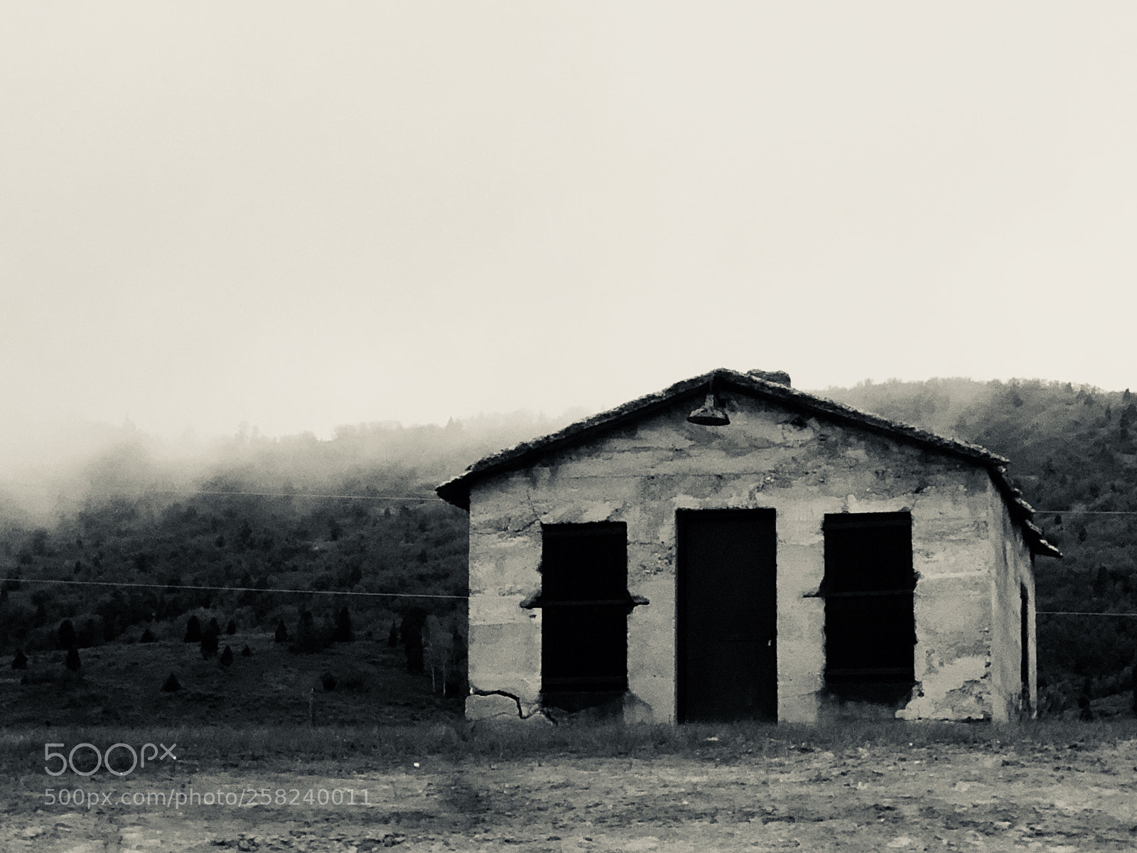 Apple iPhone X sample photo. Untitled photography