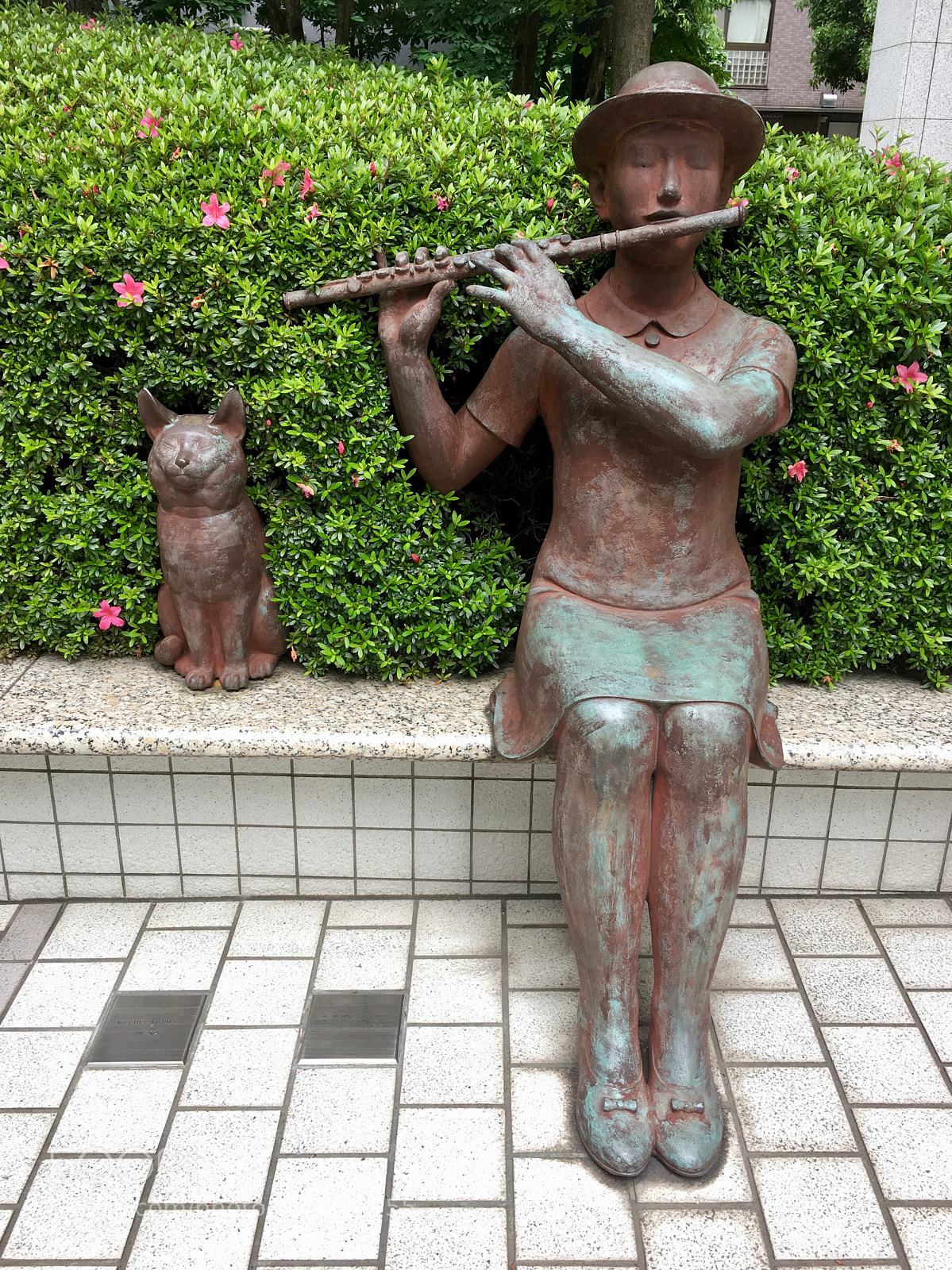 Apple iPhone 6s sample photo. At a street corner photography