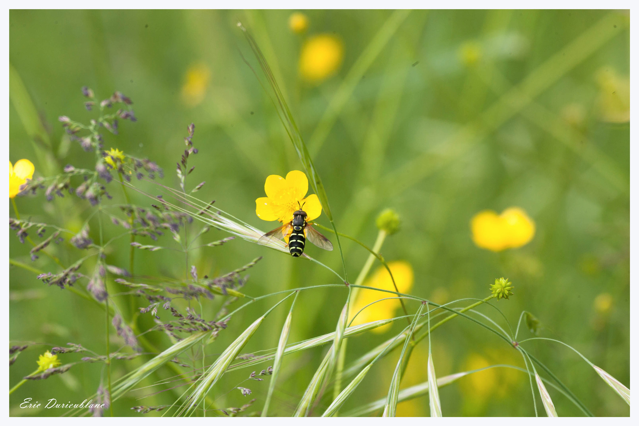 Canon EOS-1D Mark II sample photo