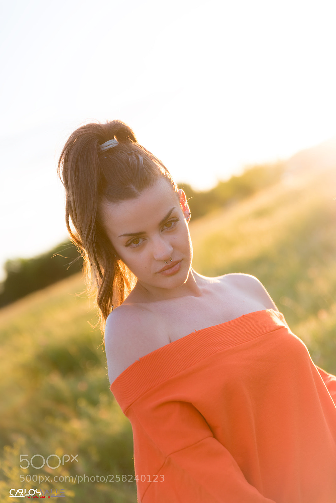 Nikon D750 sample photo. Sun sesion  photography