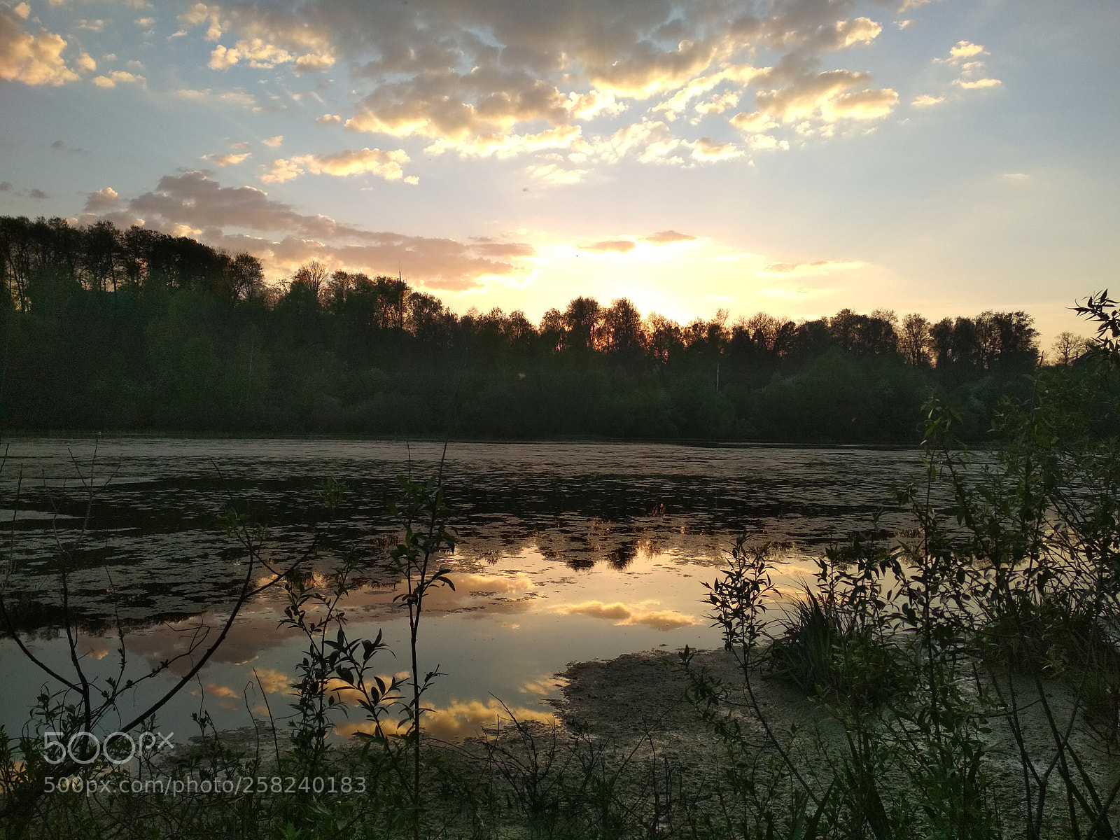 Xiaomi Redmi 4X sample photo. Озеро в тине photography