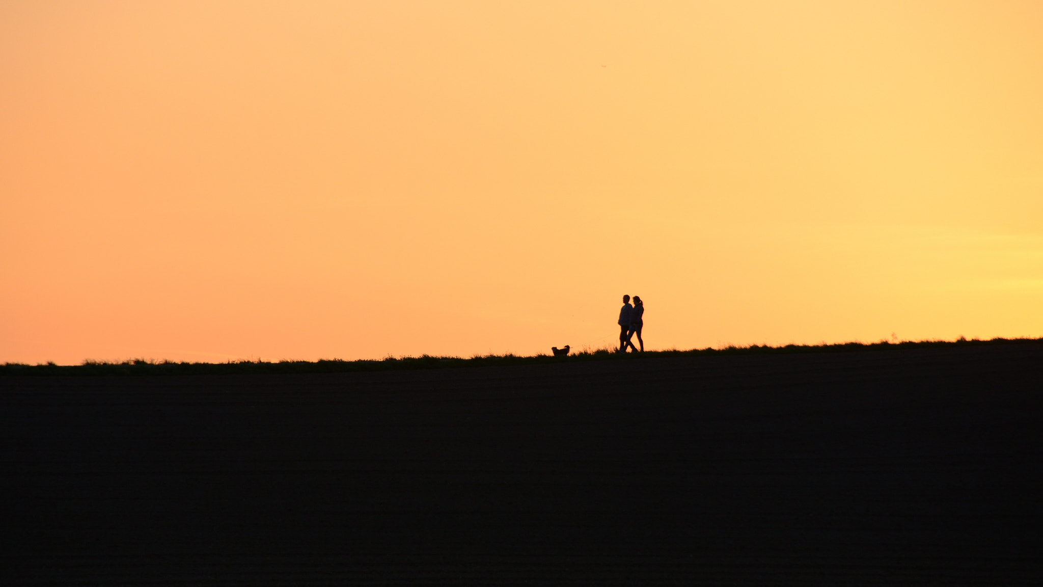 Nikon D7000 sample photo. Evening walk ... photography