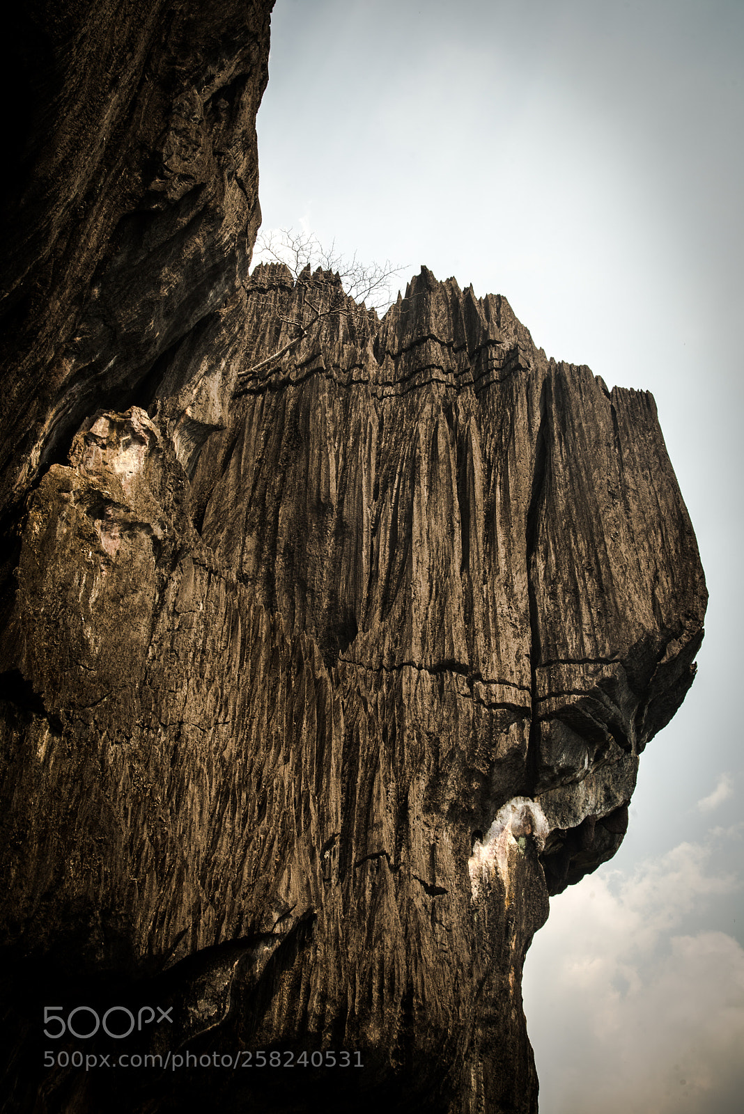Nikon D610 sample photo. Le rock photography
