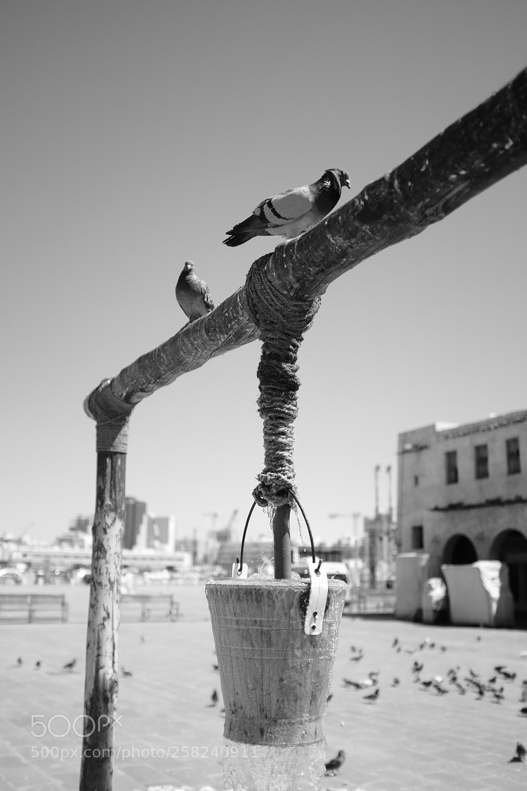 Fujifilm X100T sample photo. Doha, qatar photography