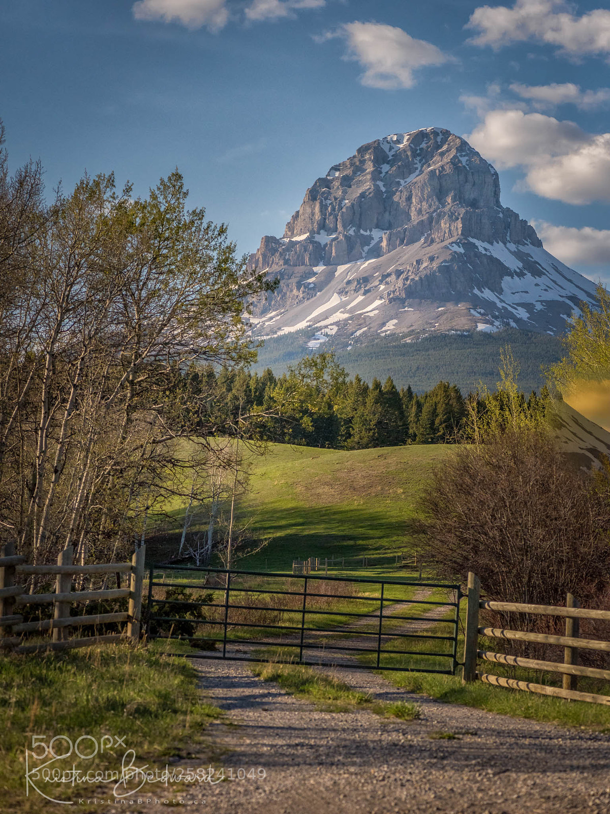 Nikon D810 sample photo. The crowsnest mountain photography