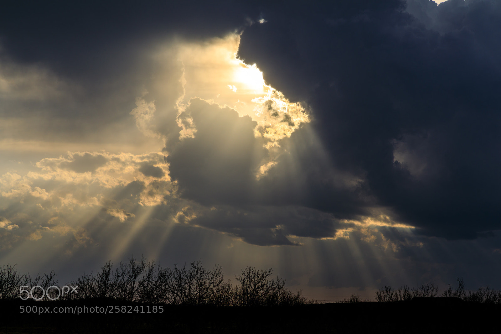 Canon EOS 5D Mark IV sample photo. Crepuscular rays shining across photography