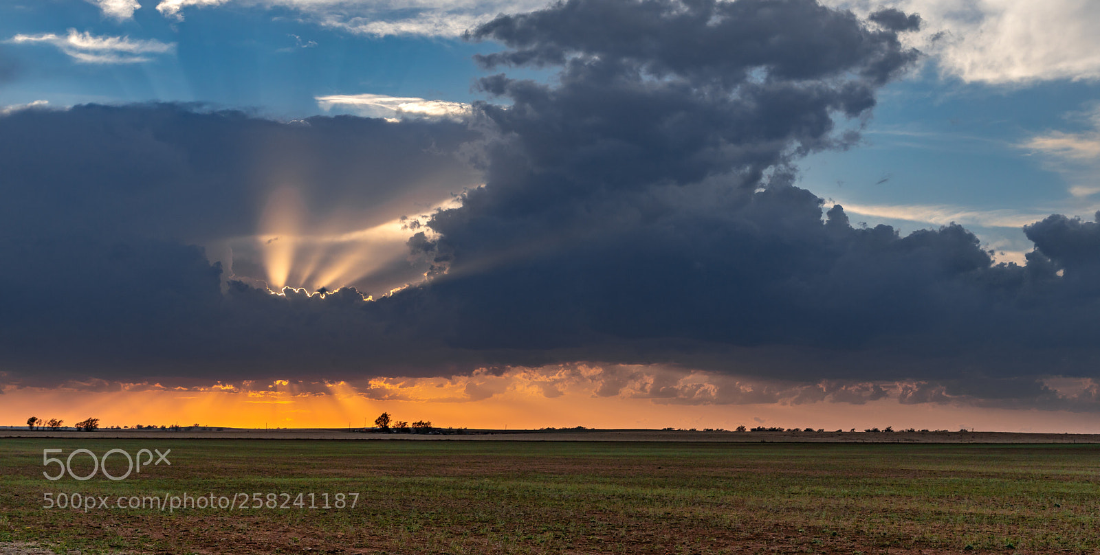 Canon EOS 5D Mark IV sample photo. Twitty, texas sunset photography
