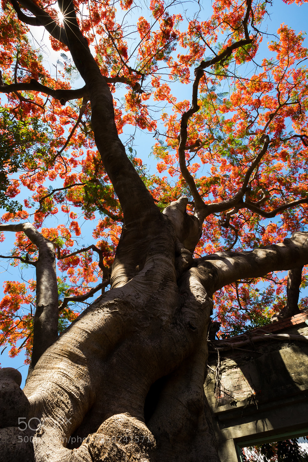 Canon EOS 6D Mark II sample photo. Untitled photography
