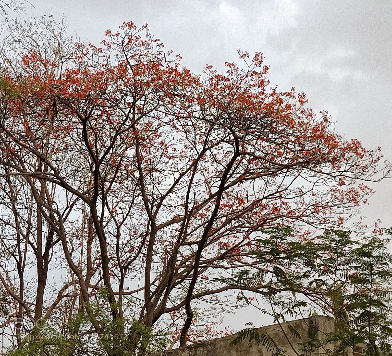 OnePlus 5 sample photo. Untitled photography
