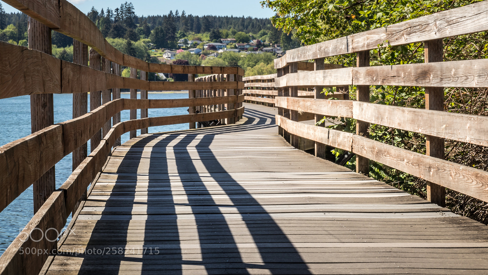 Canon EOS 80D sample photo. Upon the wooden pathway photography