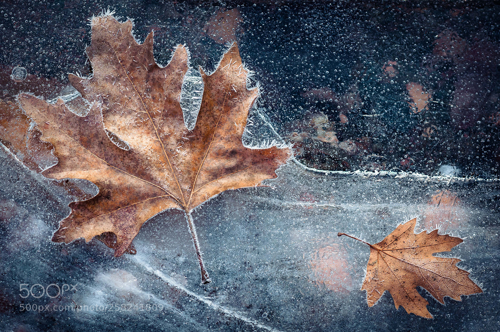 Nikon D300S sample photo. Cold photography